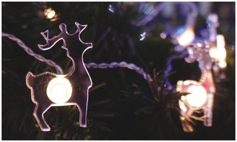  manufacturer In China FY-009-I05 LED LIGHT CHAIN WITH MIRROR REINDEER  distributor
