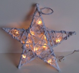  manufacturer In China FY-06-020 cheap christmas star rattan light bulb lamp  corporation